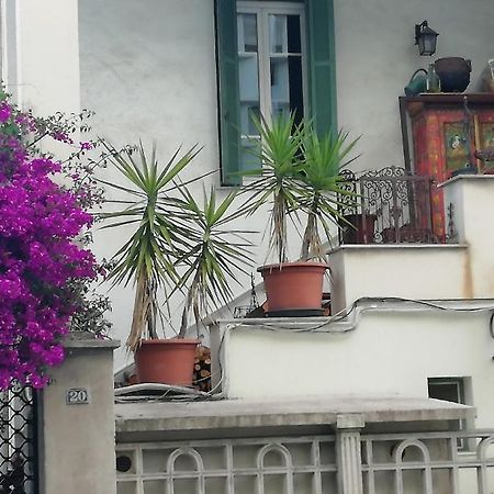 אז'אקסיו Villa Cecile מראה חיצוני תמונה